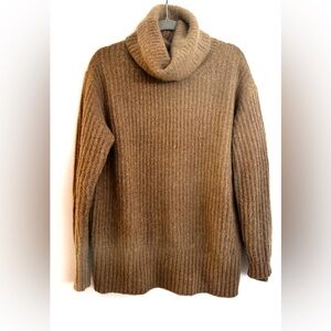 Alpaca oversized turtleneck from Everlane.